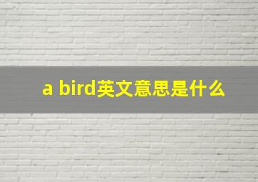 a bird英文意思是什么